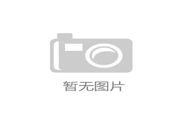 2026年世界杯美国队和巴拉圭队的阵容分析及核心球员介绍